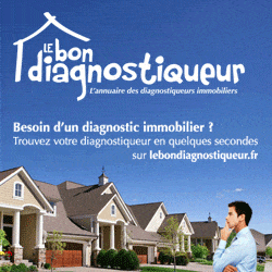 lebondiagnostiqueur publicite 250 x 250